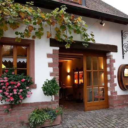 Apartment Gaestehaus Vogler Heuchelheim-Klingen